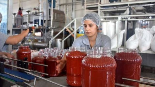 مصنع معجون الطماطم في تركيا.