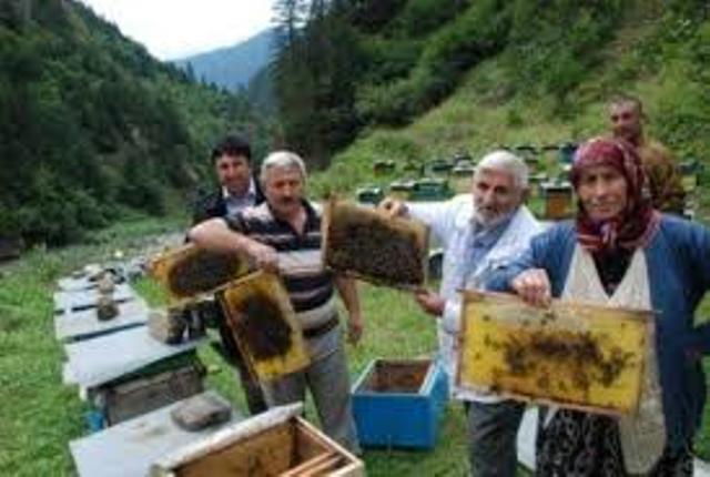 اماكن بيع العسل في تركيا.